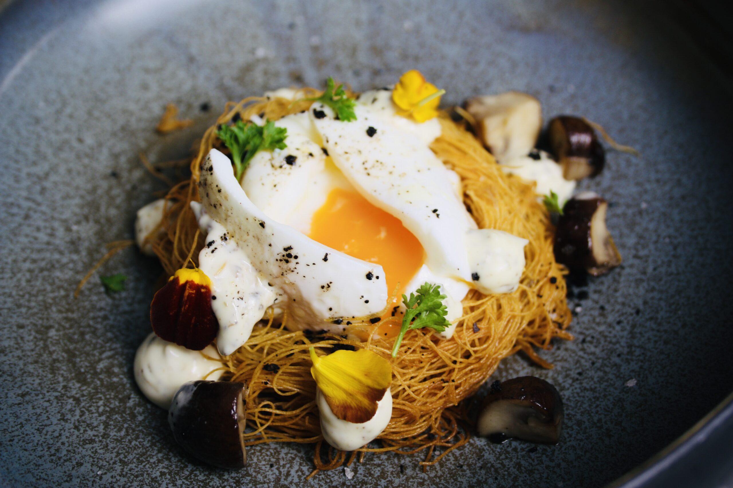 Bird nest with poached egg